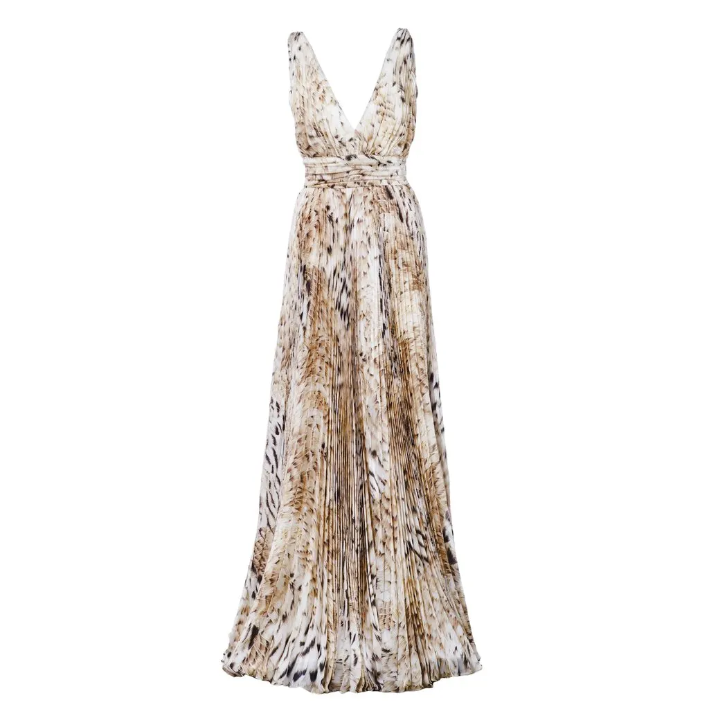 Roberto Cavalli Printed Silk Maxi Dress - '10s Beige Silk Good - Front View