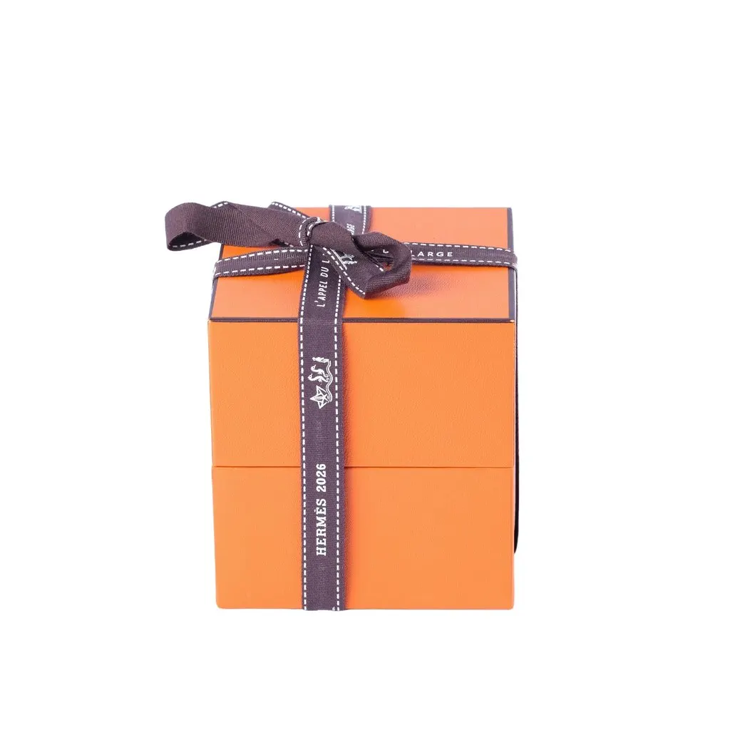 Hermès Farandole Bracelet Silver 925 Palladium Hardware 150 ST - '20s Silver Good - Box View