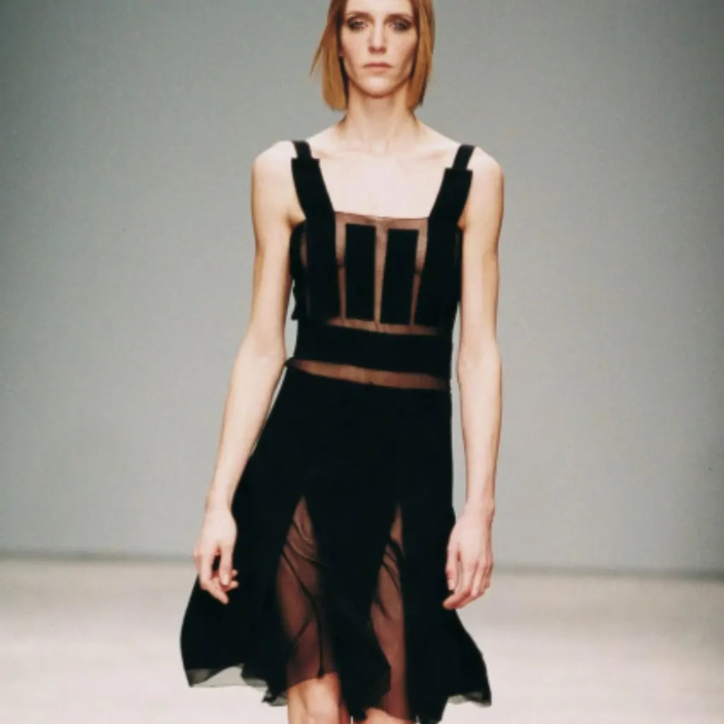 Prada Black Dress with Semi-Sheer Silk Chiffon Paneling - '00s Black Silk Good - Back View