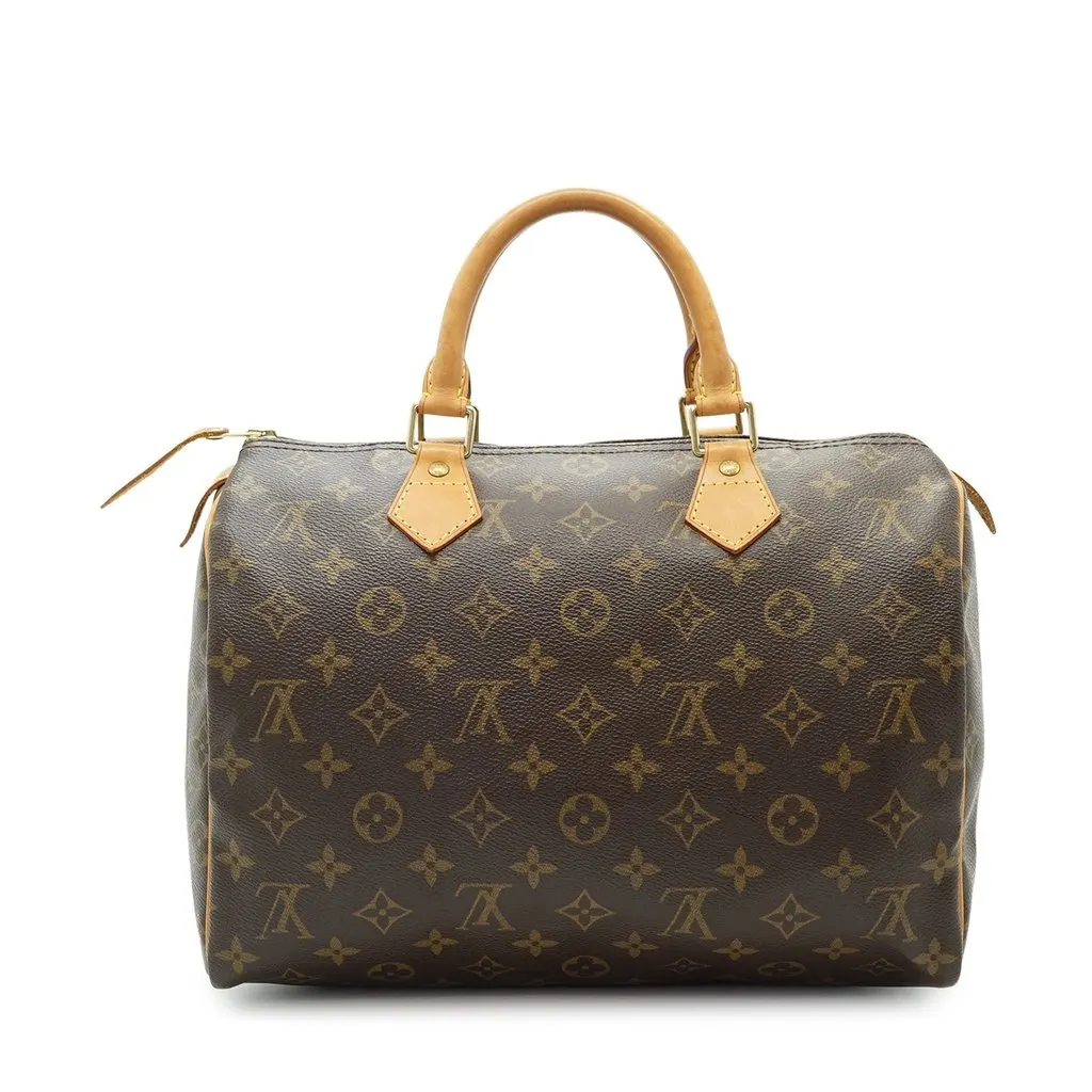 Louis Vuitton Handbag Vintage Speedy Brown Lace Good - Back View