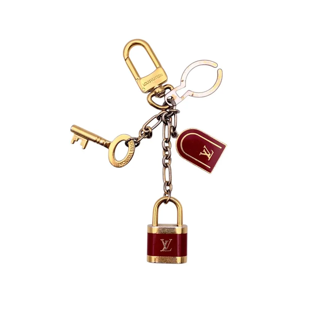 Louis Vuitton Accessory Burgundy Good - Front View