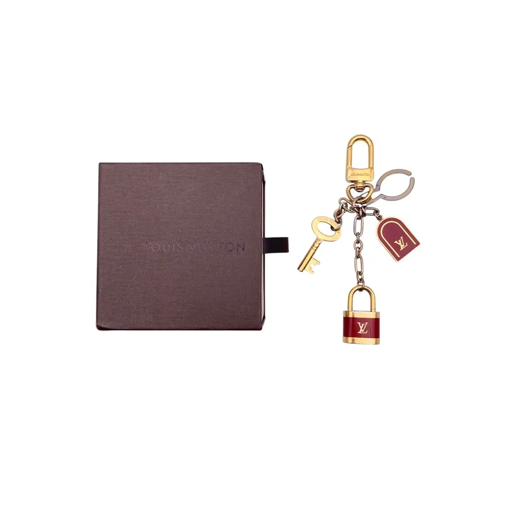 Louis Vuitton Accessory Burgundy Good - Back View