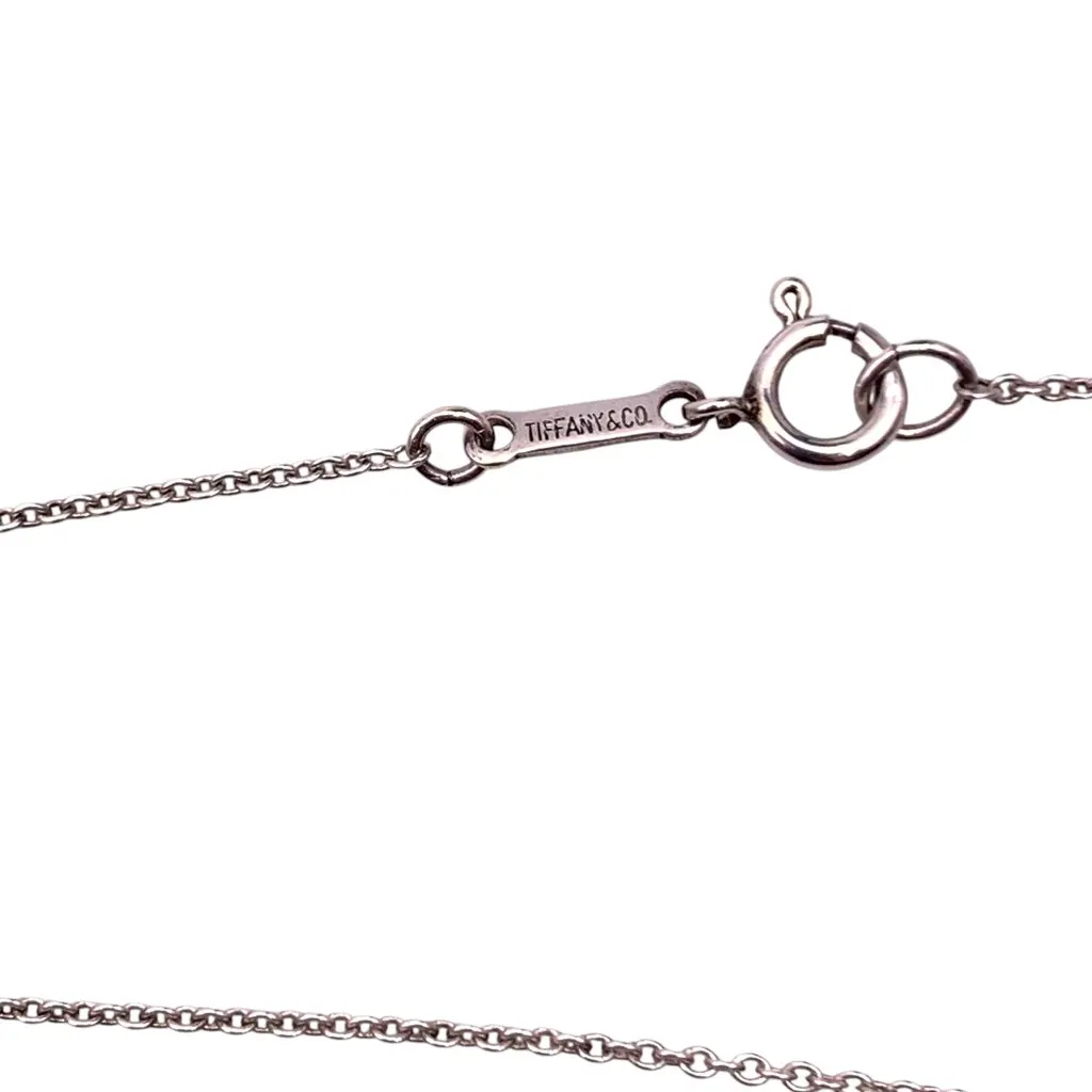 Tiffany & Co Necklace Silver Lace Good - Box View