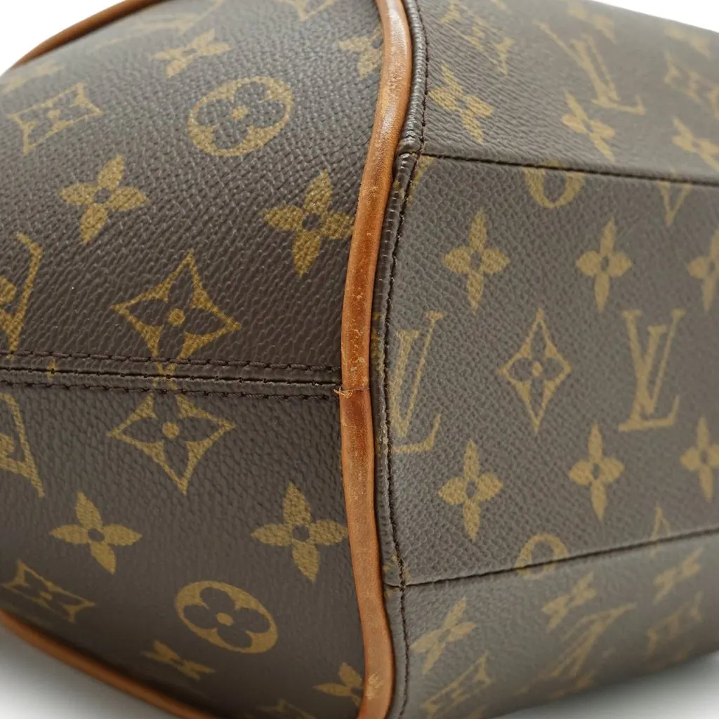 Louis Vuitton Handbag Vintage Eclipse Brown Canvas Good - Model View