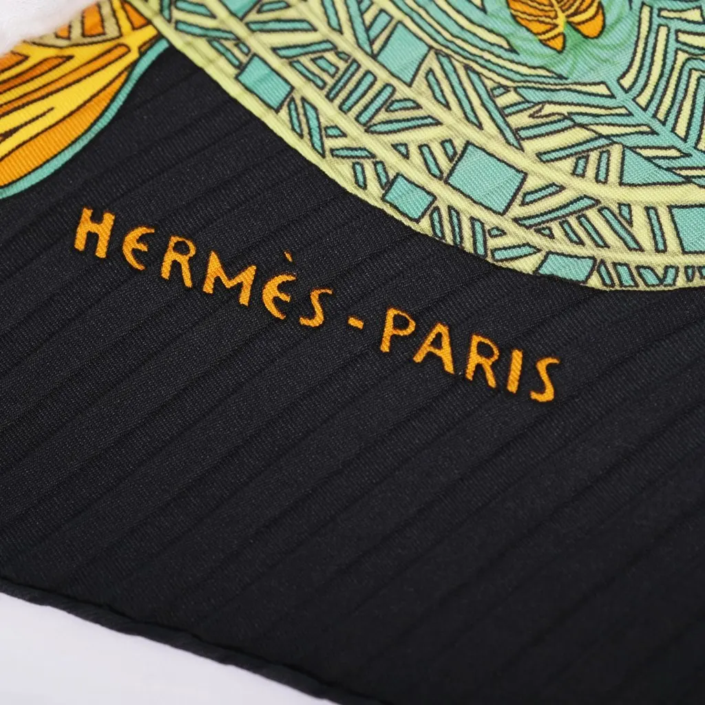 Hermès Art Des Steppes Plissé Silk Scarf By Annie Faivre - '00s Black Silk Good - Box View