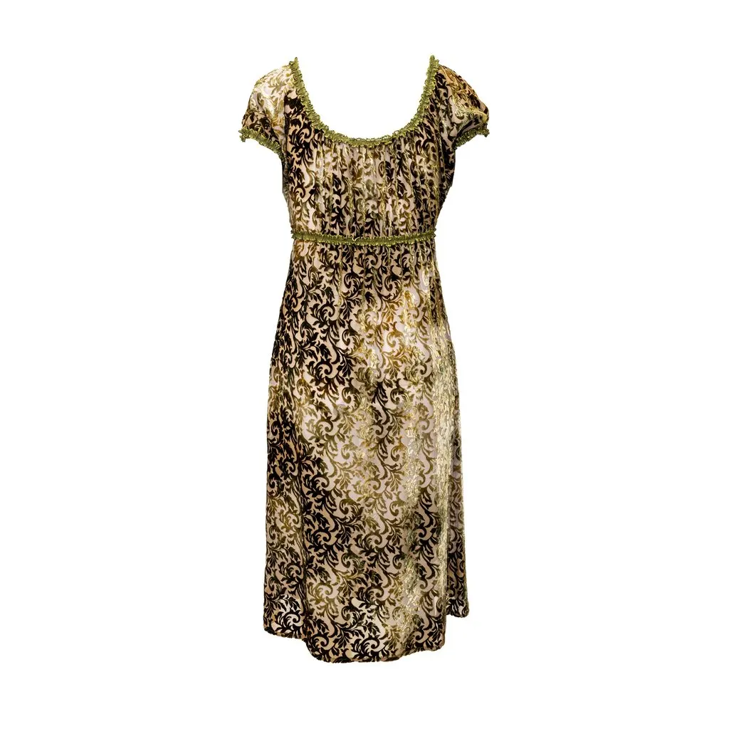 Roberto Cavalli Green Velvet Printed Dress - '00s Green Velvet Good - Back View