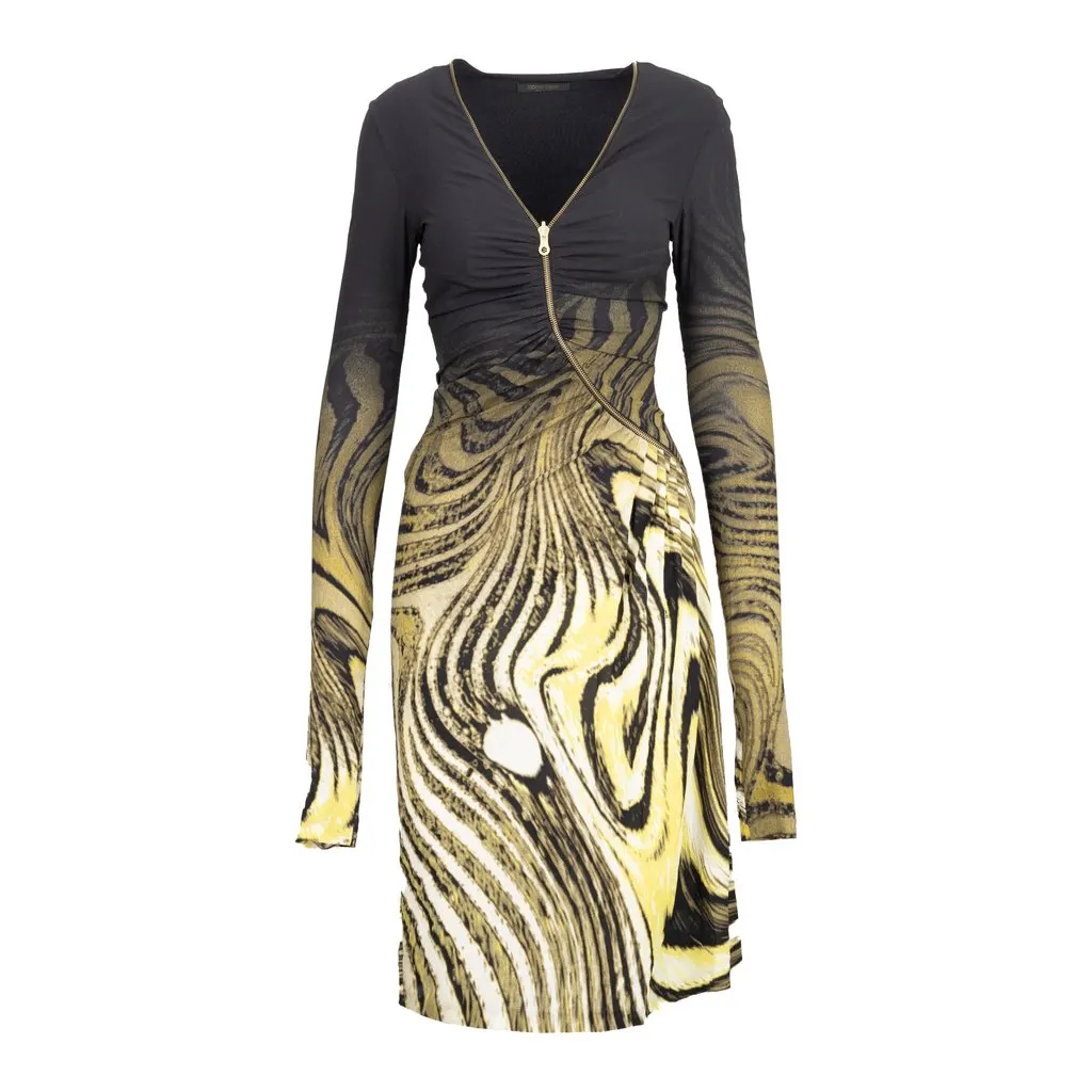 Roberto Cavalli Animalier Print Dress - '00s MultiColor Good - Front View