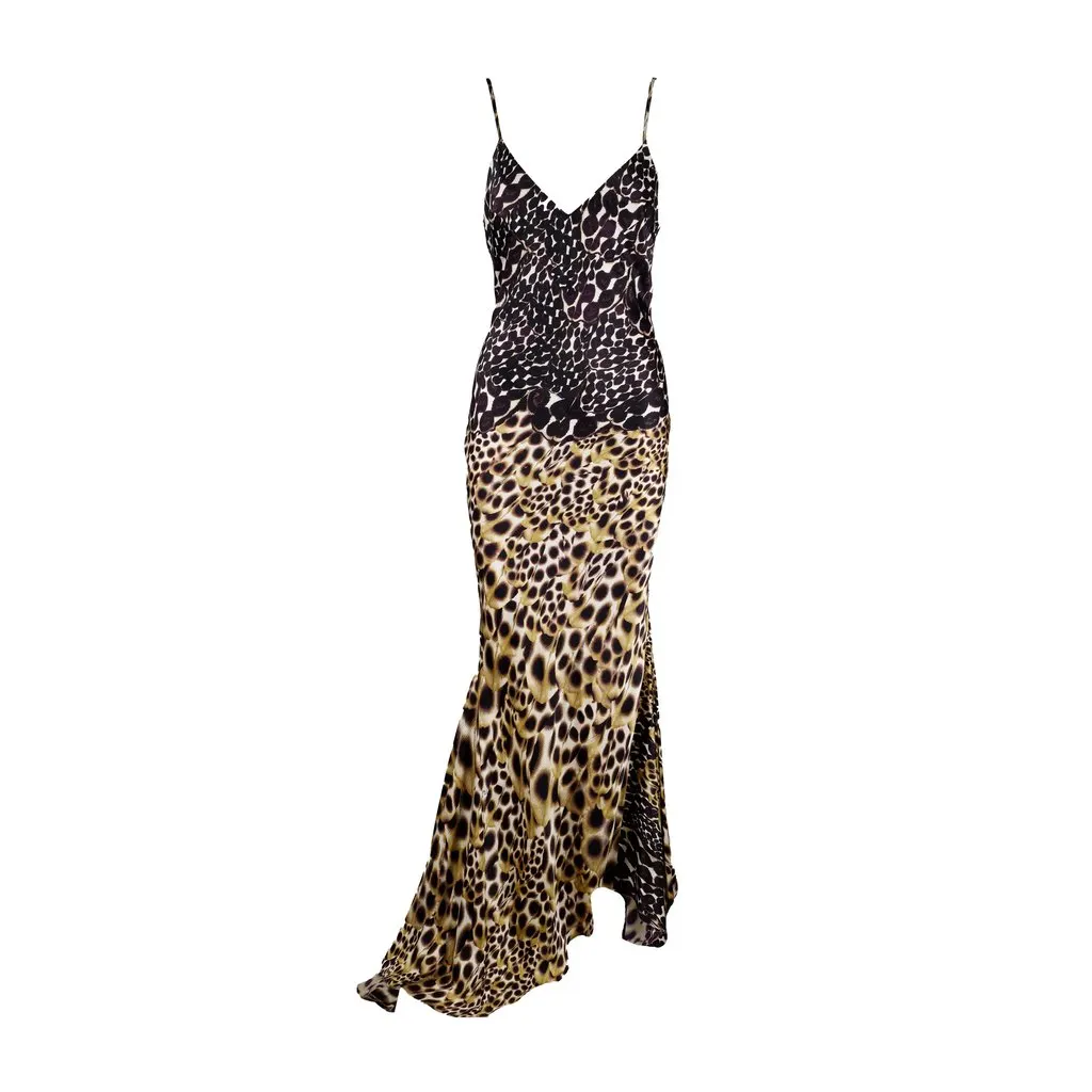 Roberto Cavalli Animal Print Long Dress - '00s MultiColor Good - Front View