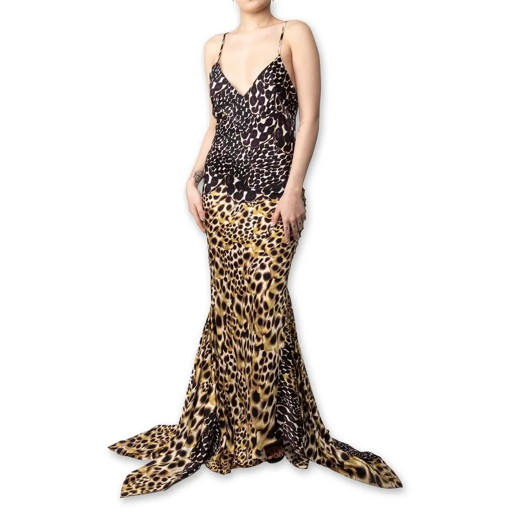 Roberto Cavalli Animal Print Long Dress - '00s MultiColor Good - Back View