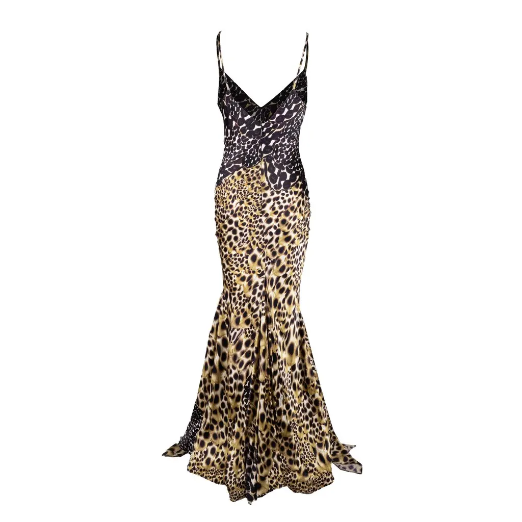 Roberto Cavalli Animal Print Long Dress - '00s MultiColor Good - Model View