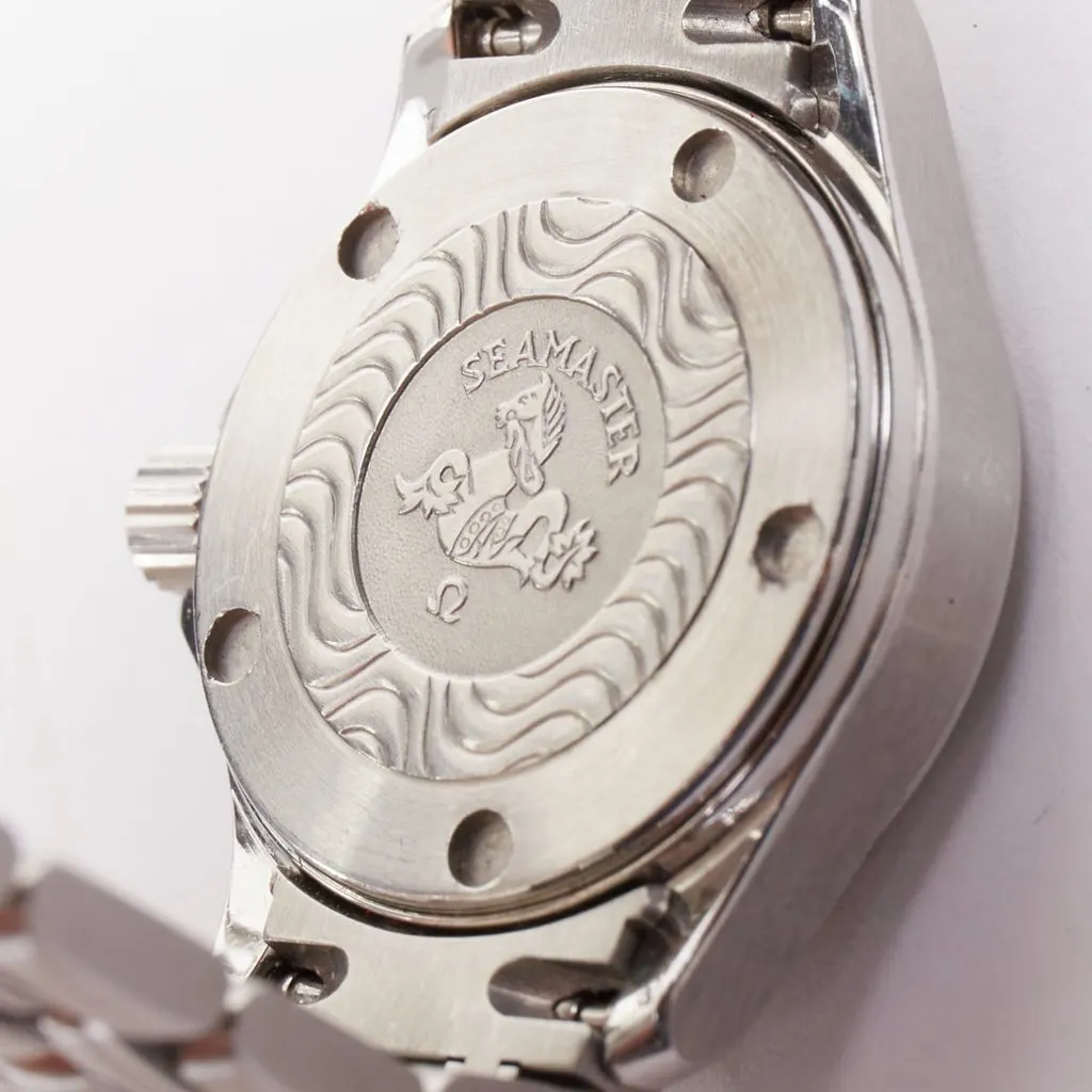 Omega Seamaster 120M Silver Stainless steel Good - Model View