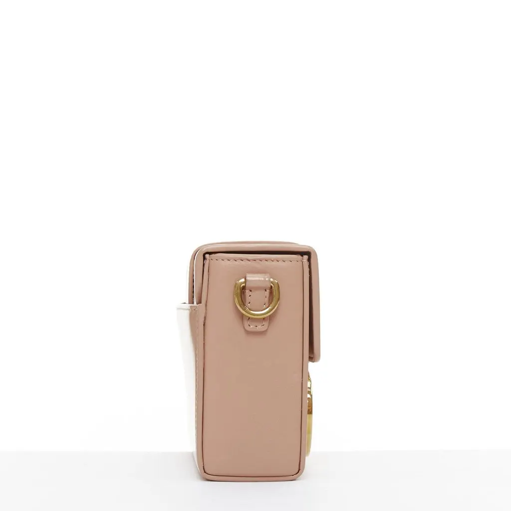 Dior Montaigne 30 Pink Leather Good - Model View