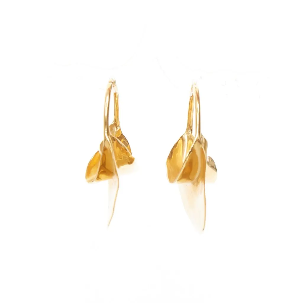Celine wirl Large Hoop Earrings Gold Metal Very good - Model View