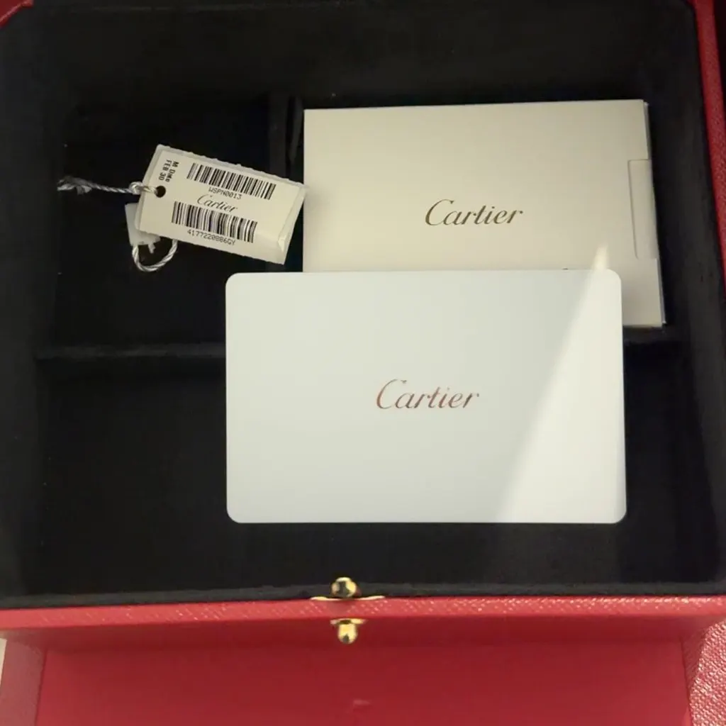 Cartier Panthère Silver Very good - Model View