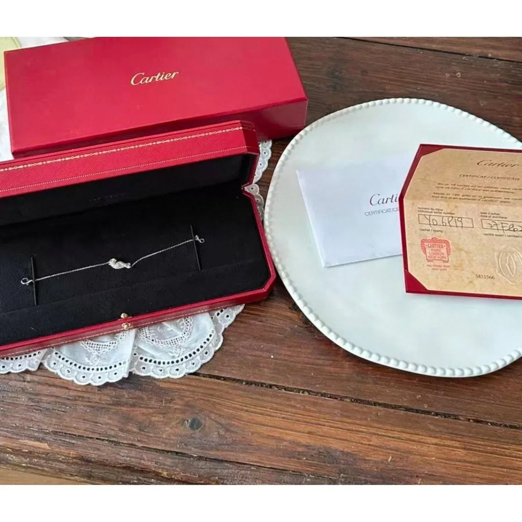 Cartier Panthère Bracelet MultiColor Very good - Back View