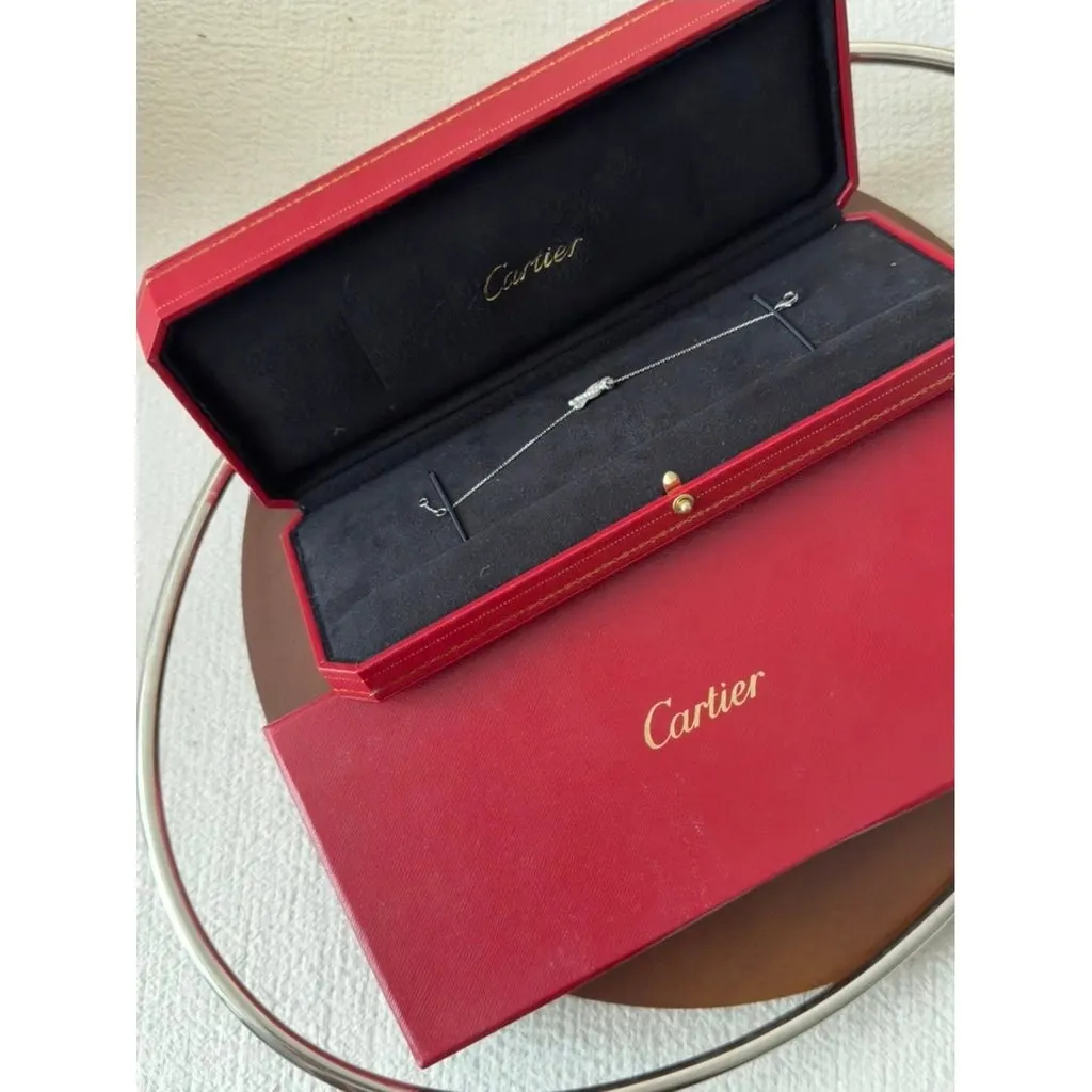 Cartier Panthère Bracelet MultiColor Very good - Box View