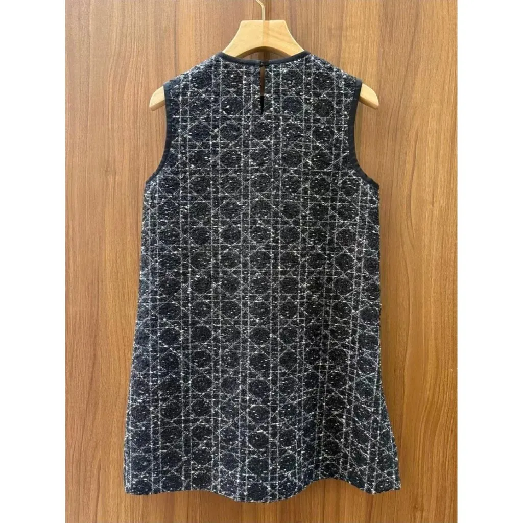 Dior Cotton Dress MultiColor Cotton Very good - Model View