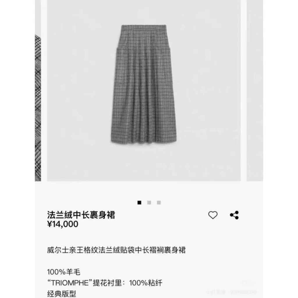 Celine Wool Skirt MultiColor Wool Never worn, with tag - Box View