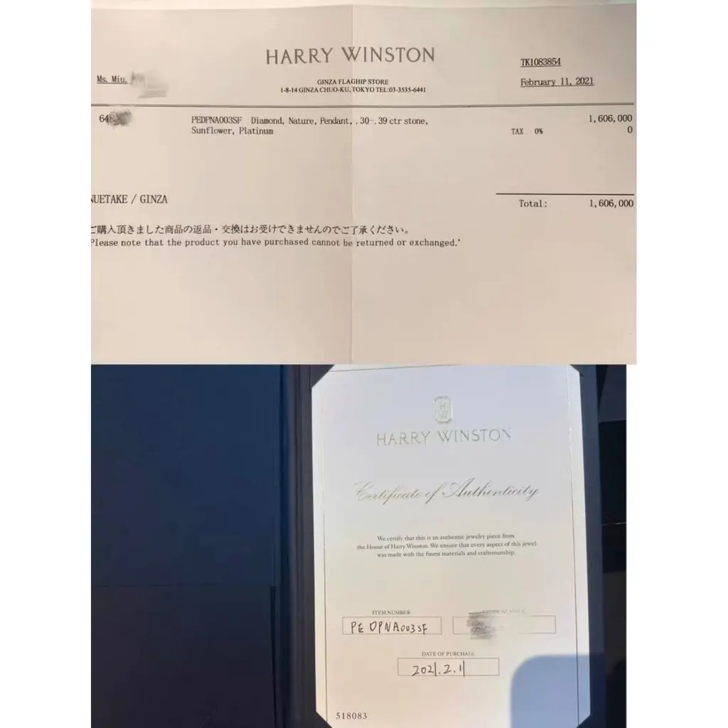 Harry Winston Necklace MultiColor Lace Very good - Box View