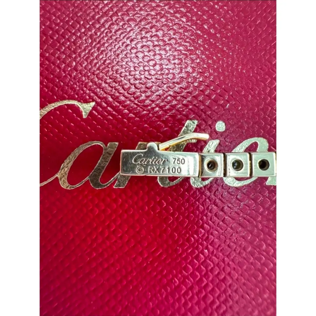 Cartier Bracelet MultiColor Very good - Model View