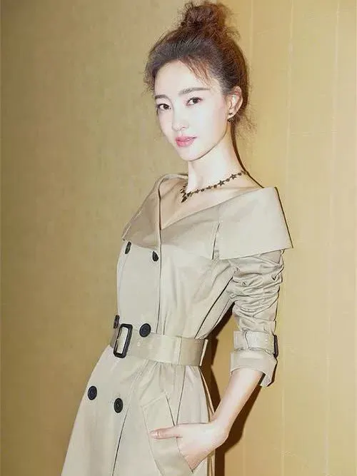 Dior Trench Coat MultiColor Never worn - Model View