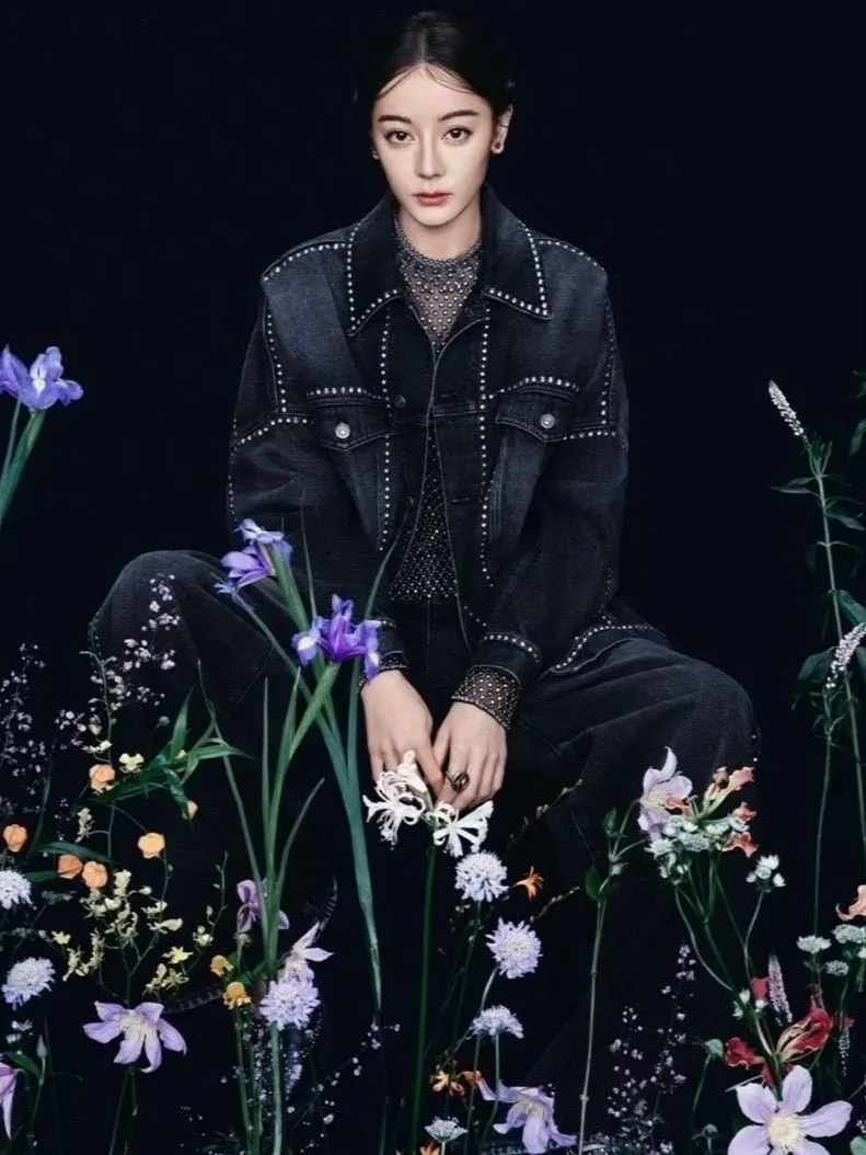 Dior Denim Jacket MultiColor Denim Very good - Inside View