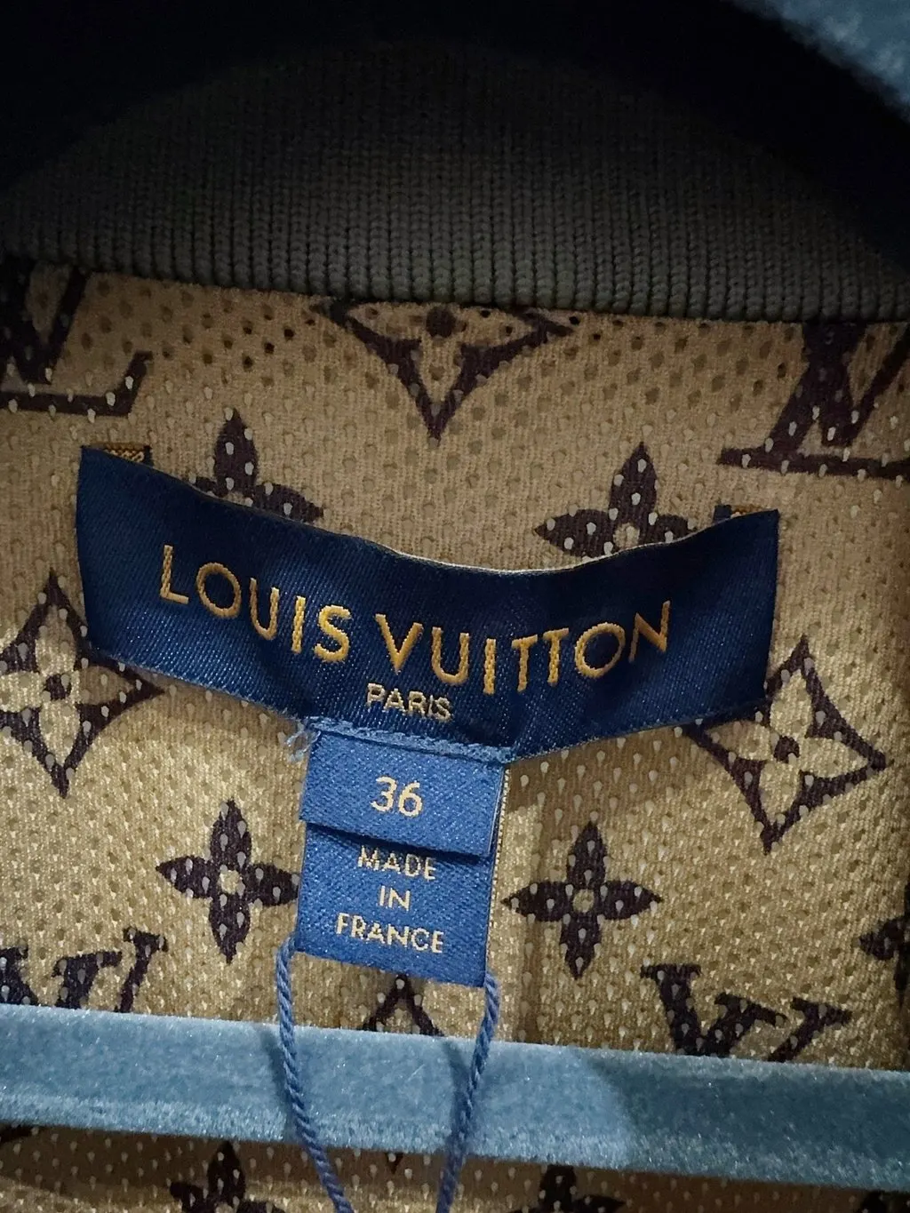 Louis Vuitton Polyester Jacket MultiColor Polyester Never worn - Model View