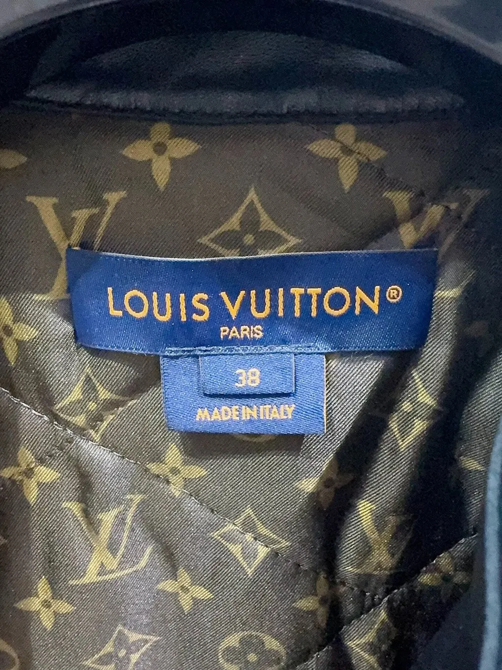 Louis Vuitton Leather Jacket MultiColor Leather Very good - Model View