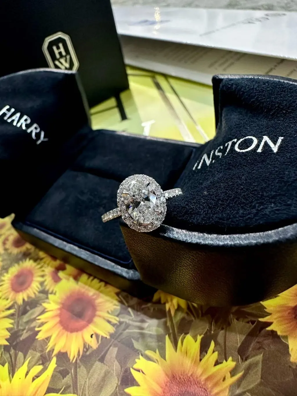 Harry Winston The One Platinum Ring MultiColor Platinum Very good - Back View