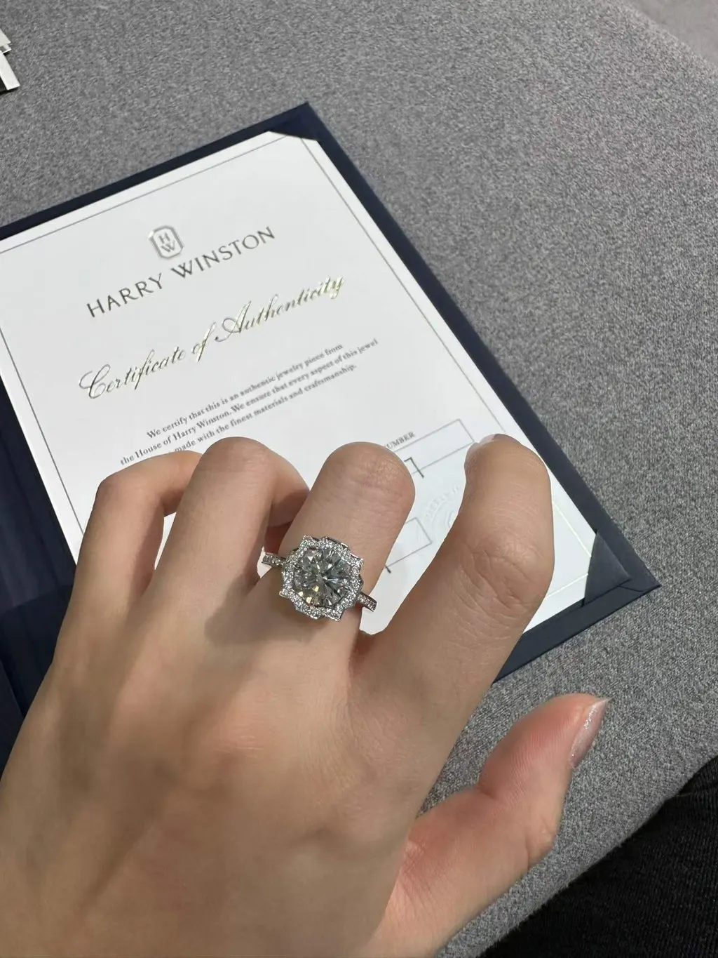 Harry Winston Belle Platinum Ring MultiColor Platinum Very good - Model View