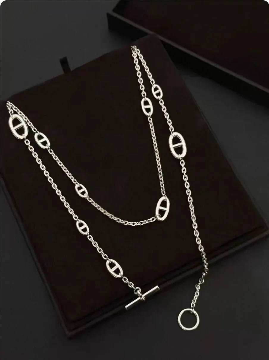 Hermes Sautoir Farandole Silver Necklace MultiColor Silver Very good - Model View