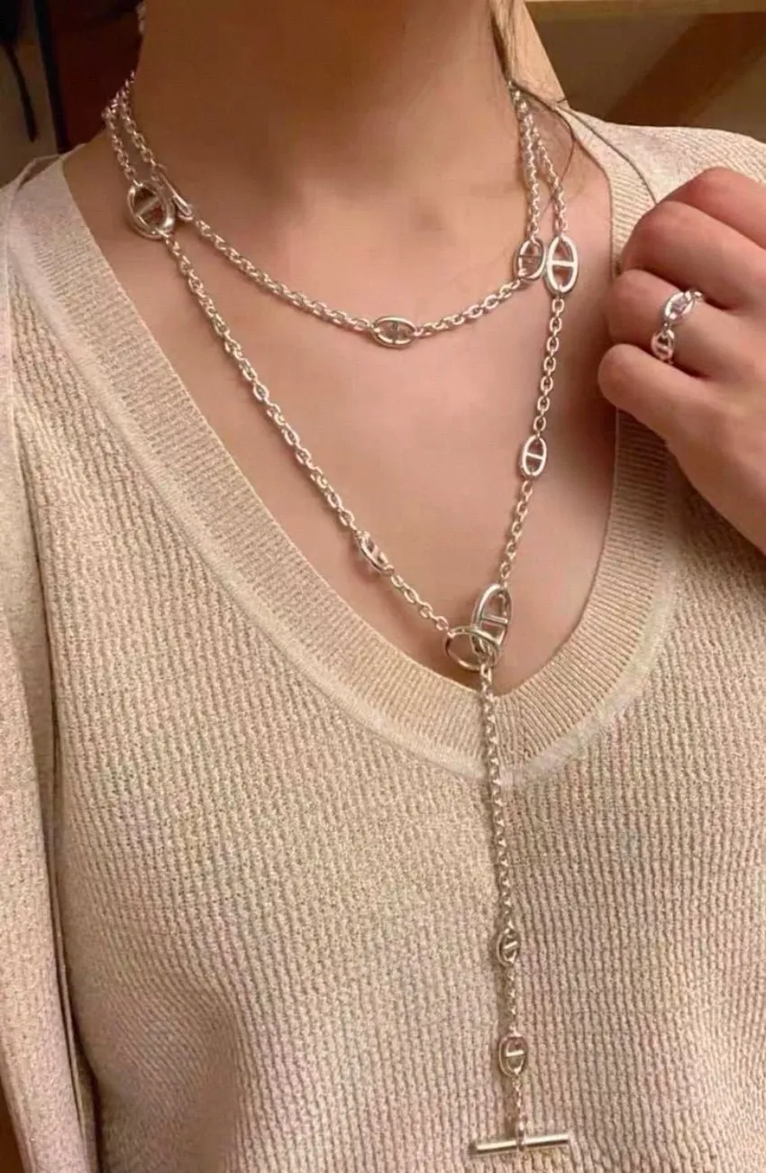 Hermes Sautoir Farandole Silver Necklace MultiColor Silver Very good - Box View