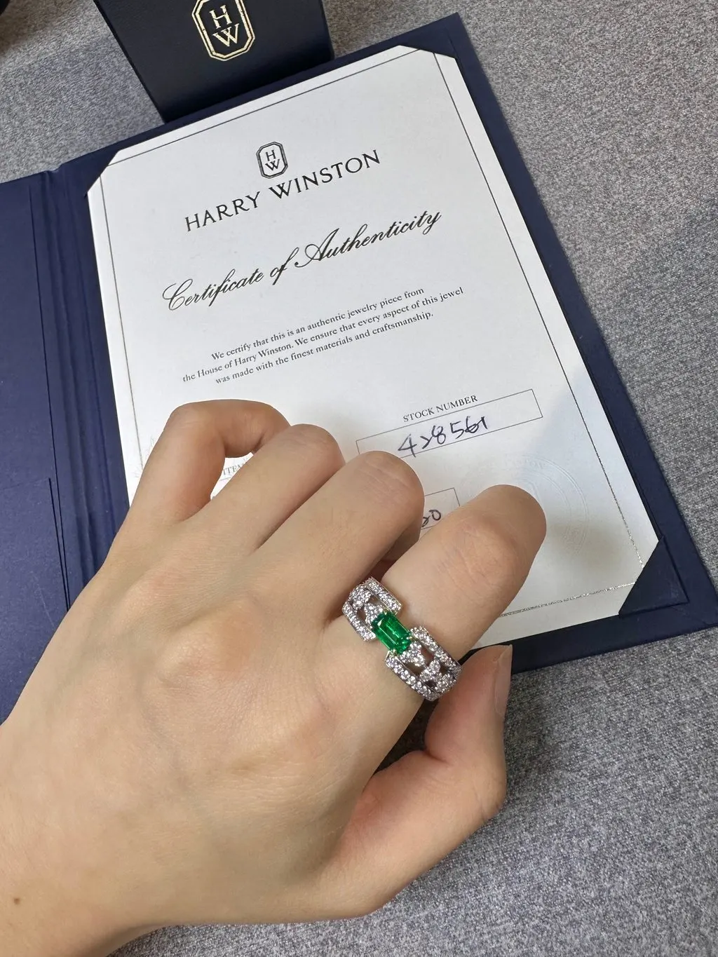 Harry Winston Platinum Ring MultiColor Platinum Very good - Back View