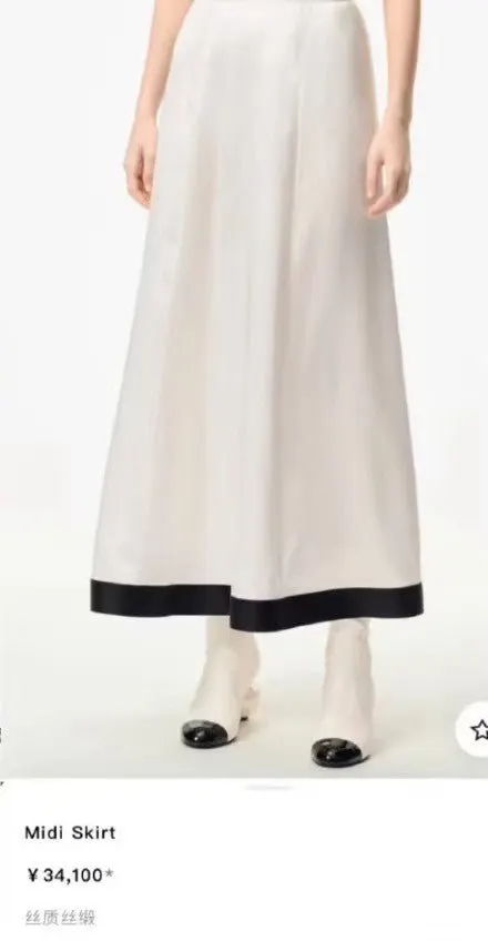 Chanel Silk Skirt MultiColor Silk Very good - Model View