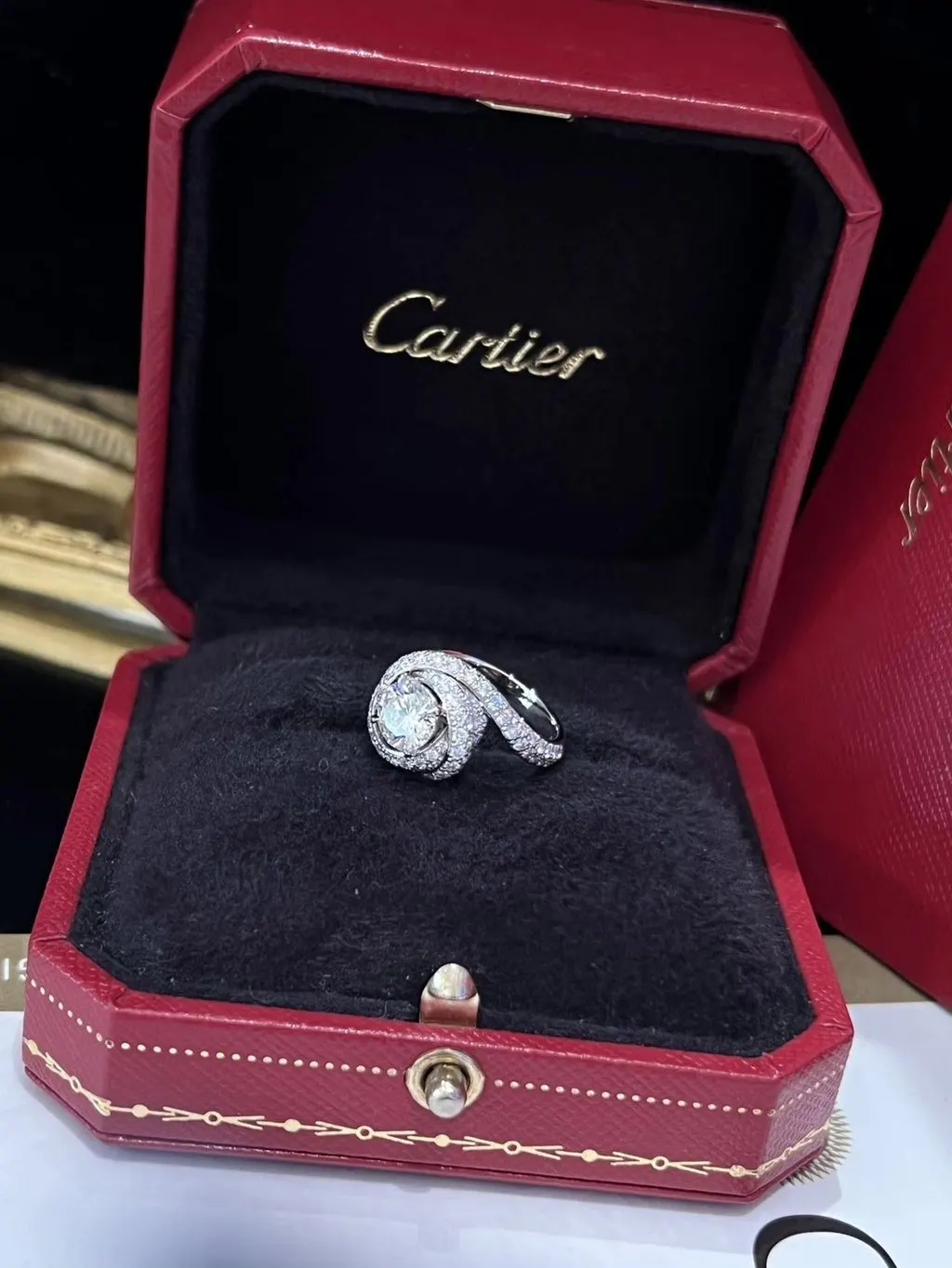 Cartier Platinum Ring MultiColor Platinum Very good - Back View