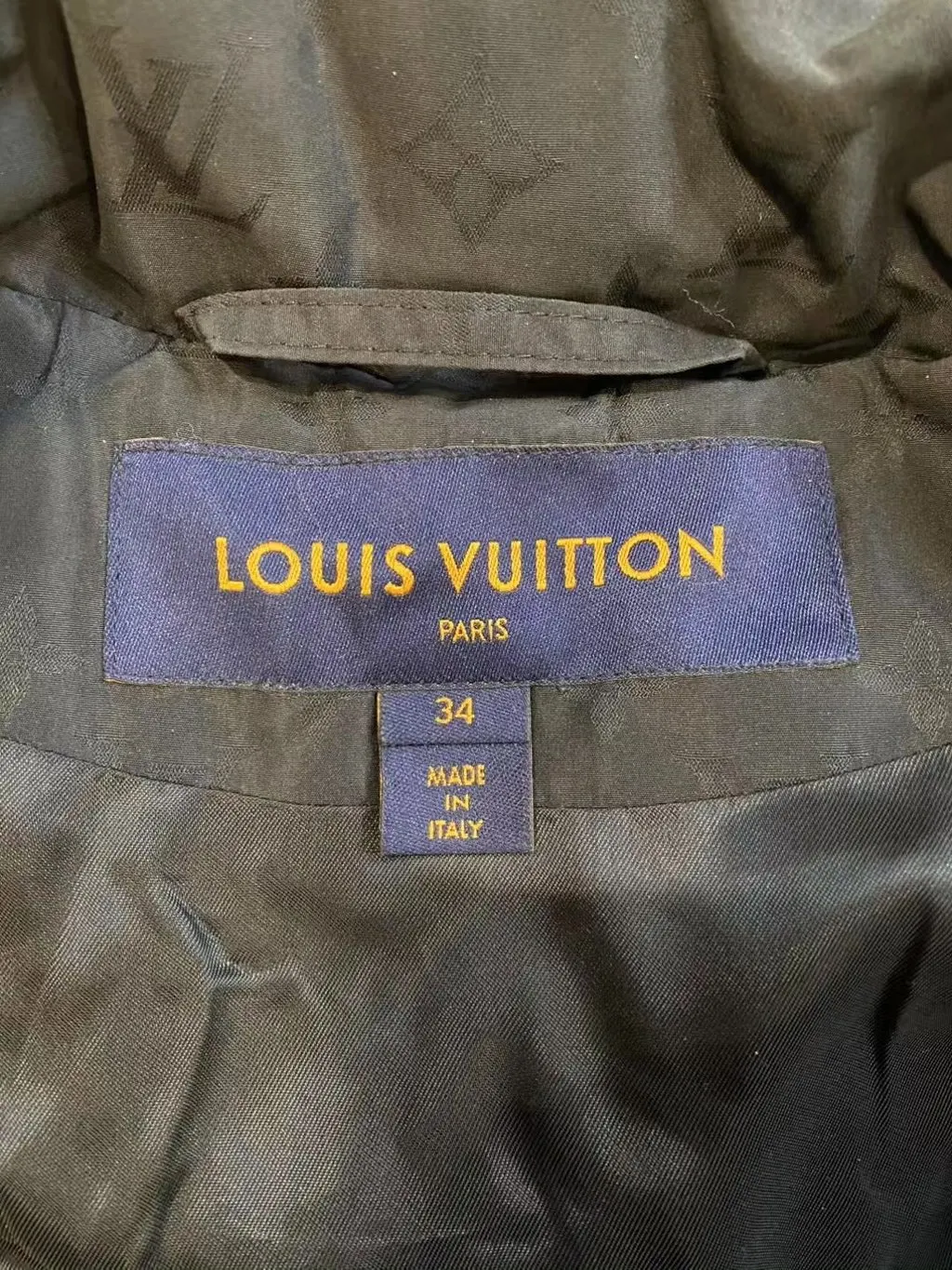 Louis Vuitton Polyamide Jacket MultiColor Polyamide Very good - Model View
