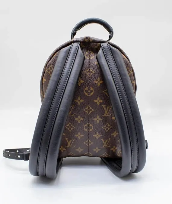 Louis Vuitton Monogram Reverse Palm Springs PM Backpack MultiColor Leather Very good - Back View