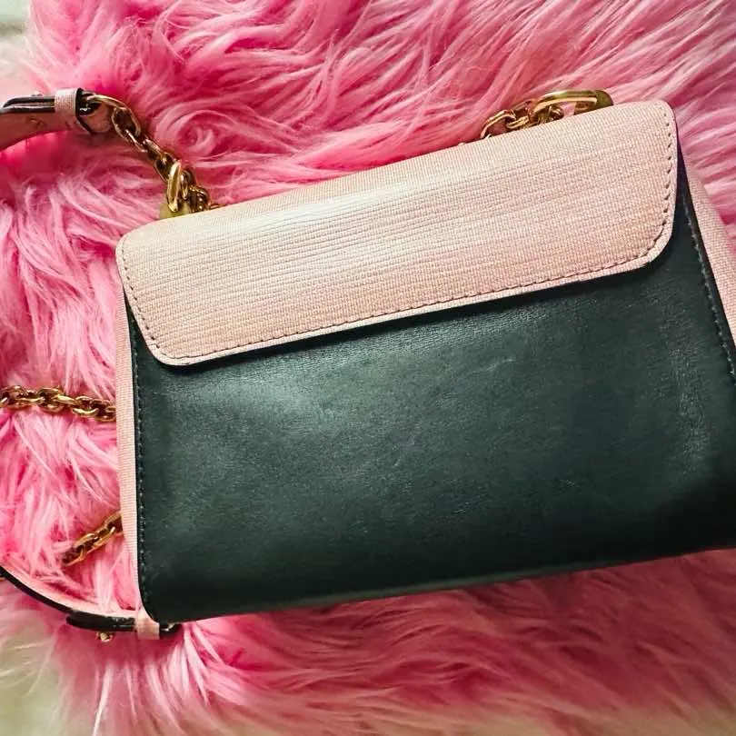Louis Vuitton Twist Pink Canvas Leather Fair - Back View