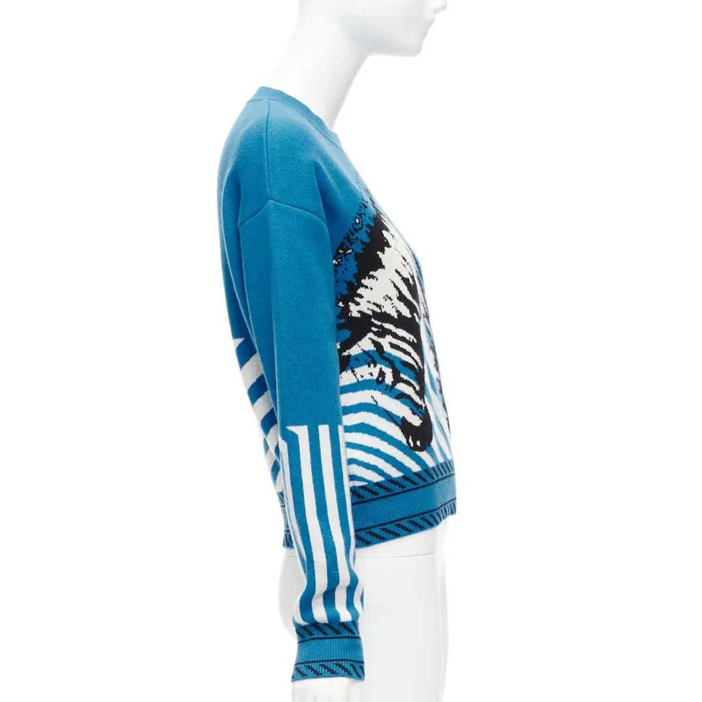 Dior Zebra Graphic Sweater Blue Cashmere Never worn - Model View