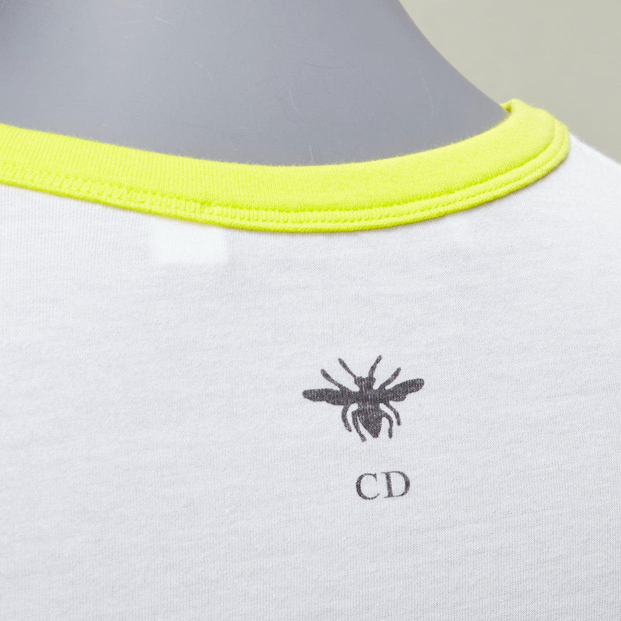 Dior Lion Graphic Tee - Back view