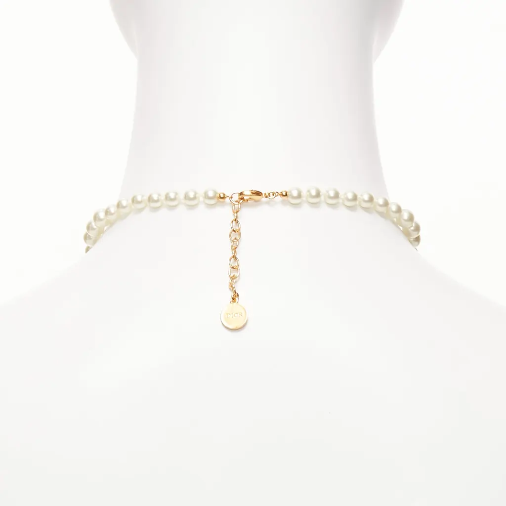 Dior Fire Dinosaur Choker Beige Metal Very good - Box View