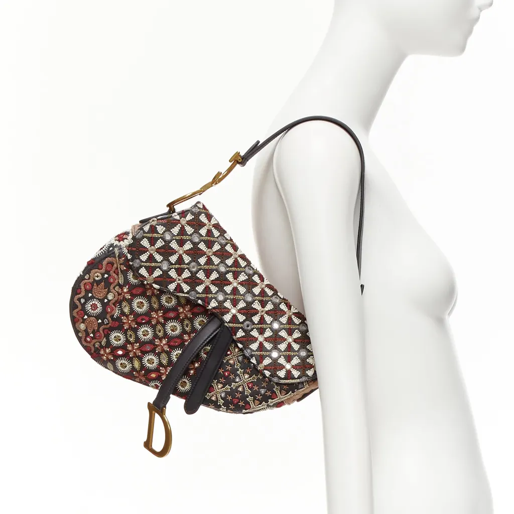 Dior Saddle MultiColor Leather Very good - Back View
