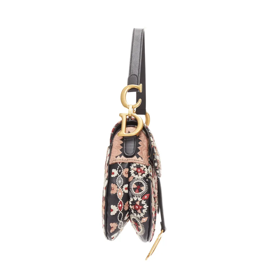 Dior Saddle MultiColor Leather Very good - Model View