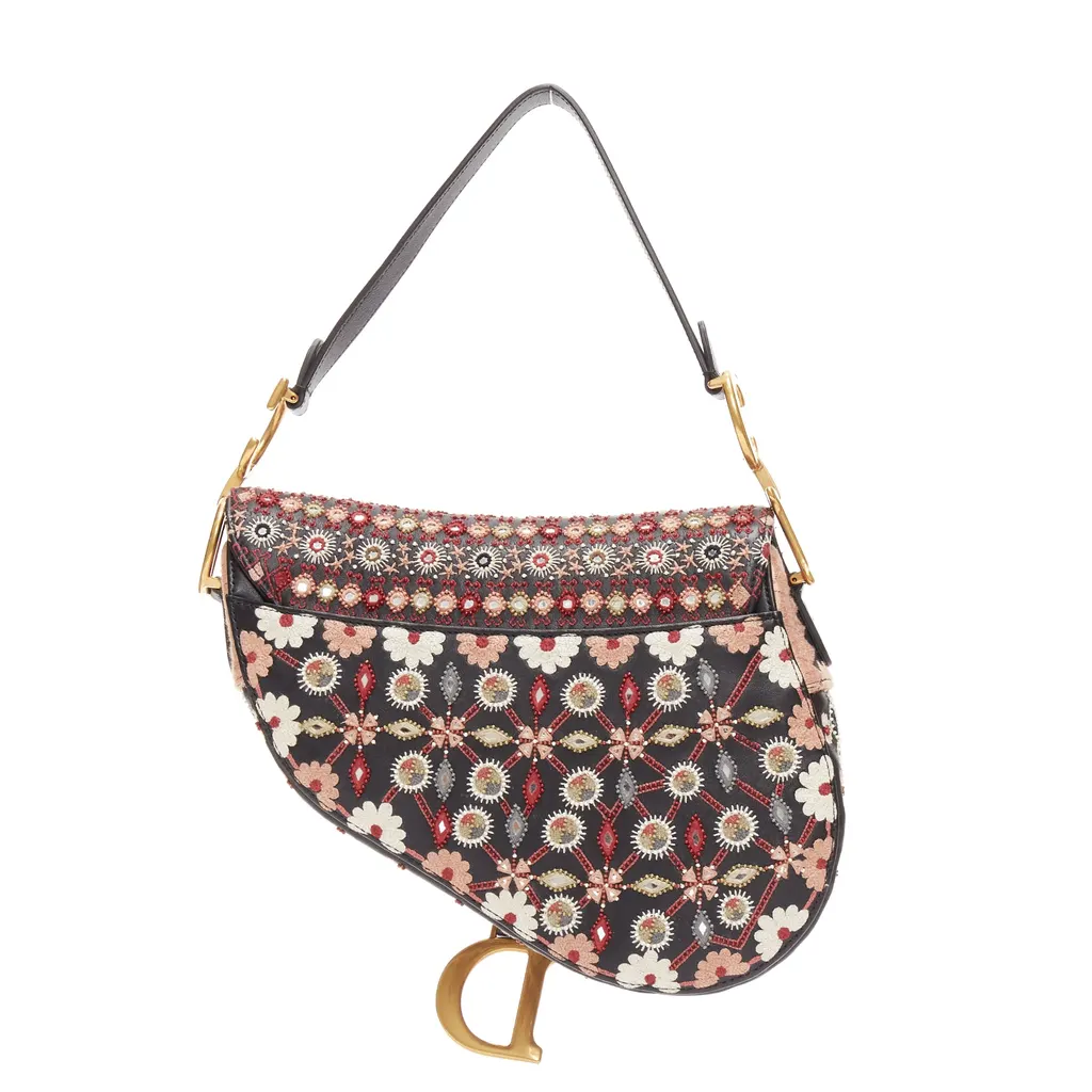 Dior Saddle MultiColor Leather Very good - Box View