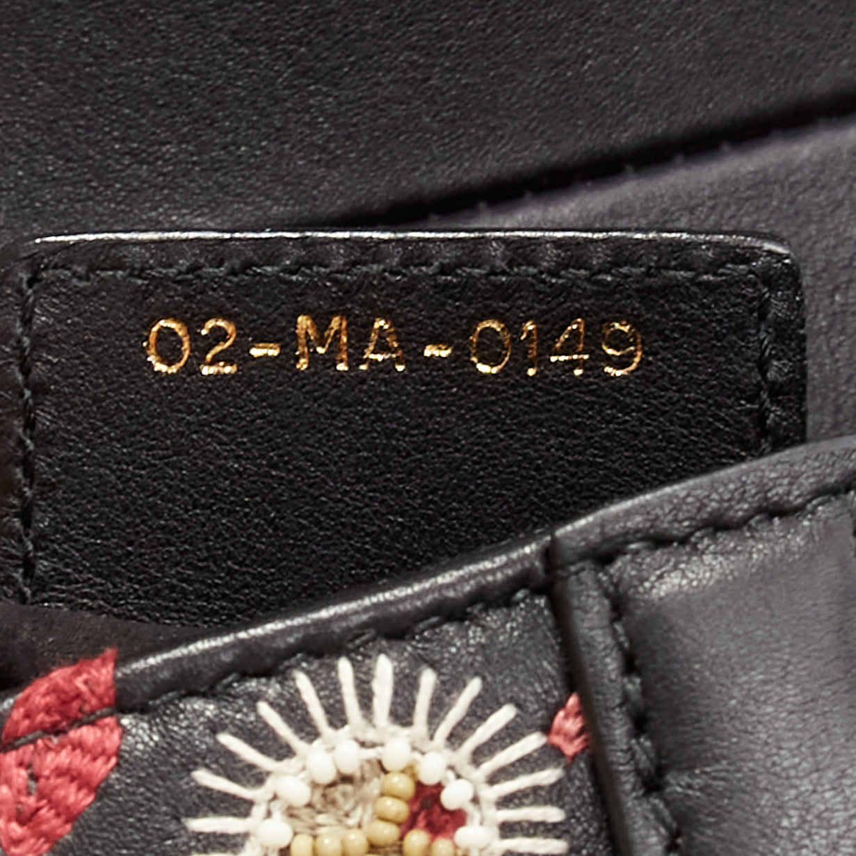 Dior Saddle - Image 14