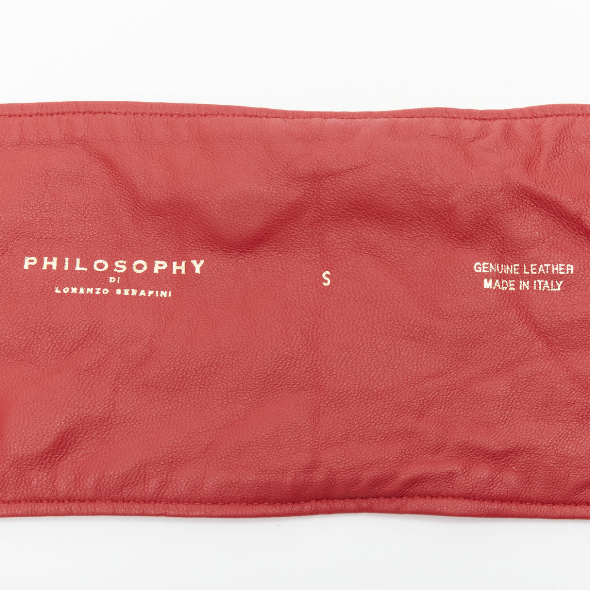 Philosophy Di Alberta Ferretti GG Web Square Belt - Image 10