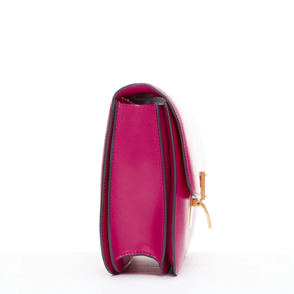 Celine Box Medium Pink Leather Good - Model View