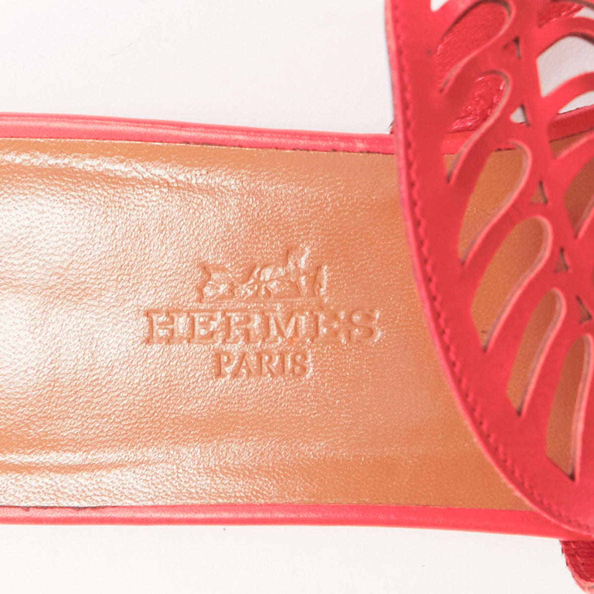 Hermès Nautilus - Image 11