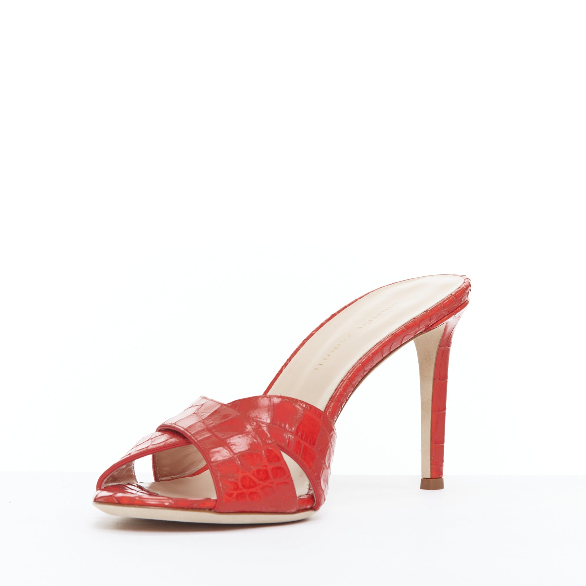 Giuseppe Zanotti Felicia - 4