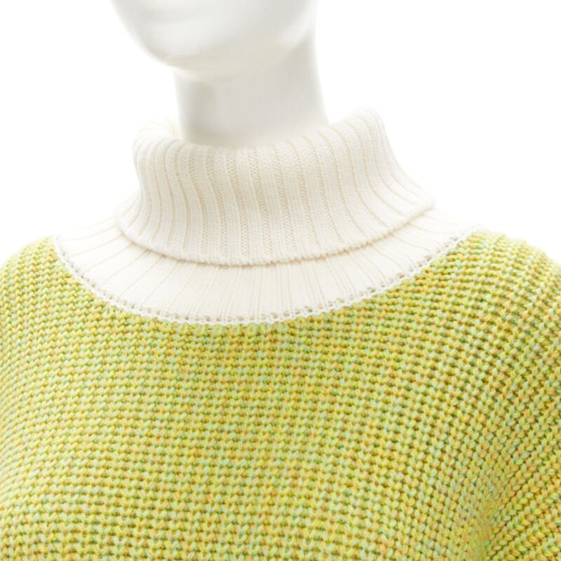 Tibi Rolled Turtleneck - Back view